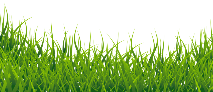 Green grasses PNG Transparent Image