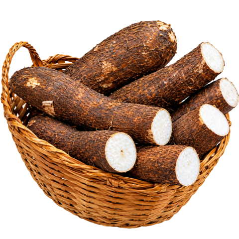 Fresh Cassava Root Tubers in Wicker Basket PNG