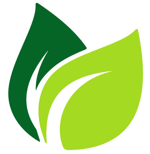 Green leaf nature PNG image